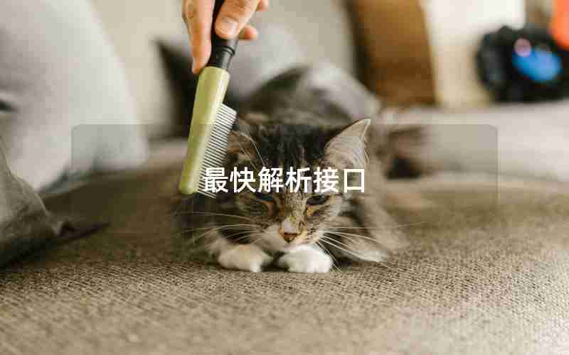 最快解析接口 最快解析接口