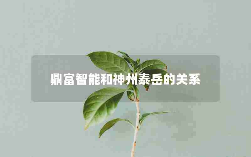 鼎富智能和神州泰岳的关系