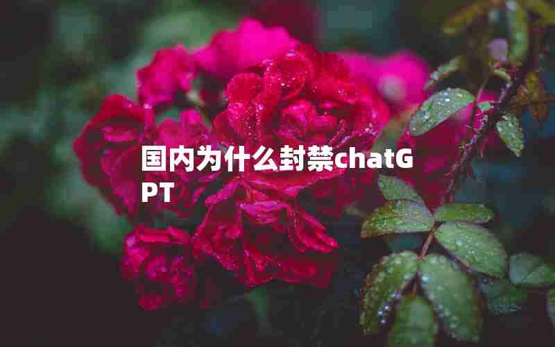 国内为什么封禁chatGPT 国内为什么封禁chatGPT
