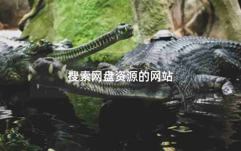 搜索网盘资源的网站