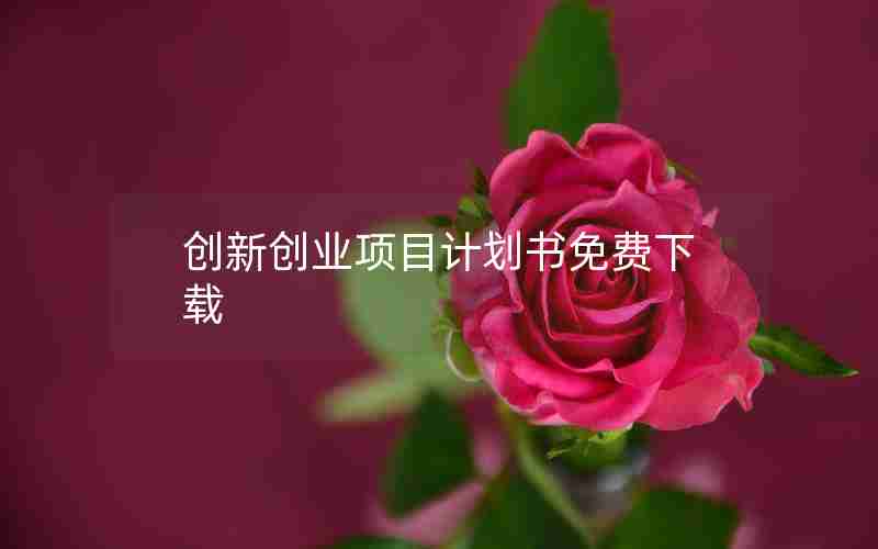 创新创业项目计划书免费下载