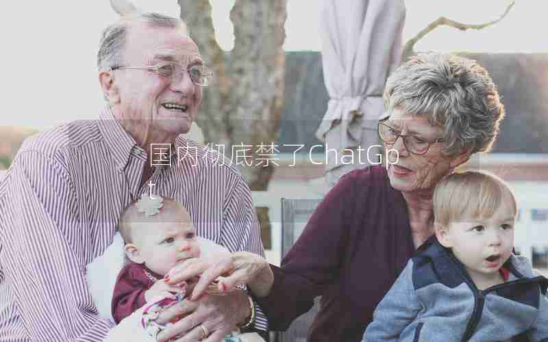 国内彻底禁了ChatGpt 国内彻底禁了ChatGpt