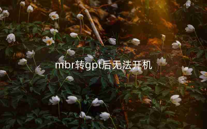 mbr转gpt后无法开机 mbr转gpt后无法开机