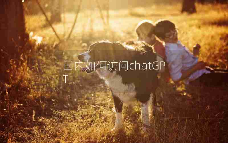 国内如何访问chatGPT