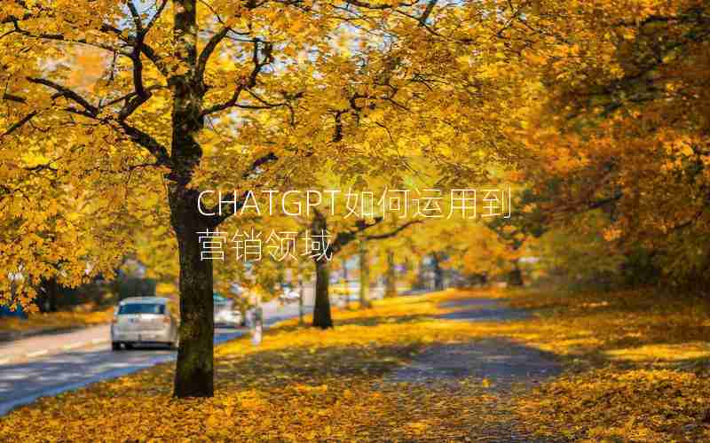 CHATGPT如何运用到营销领域 CHATGPT如何运用到营销领域