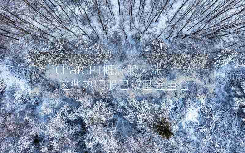 ChatGPT概念股大涨,这些热门股已被基金重仓 ChatGPT概念股大涨,这些热门股已被基金重仓