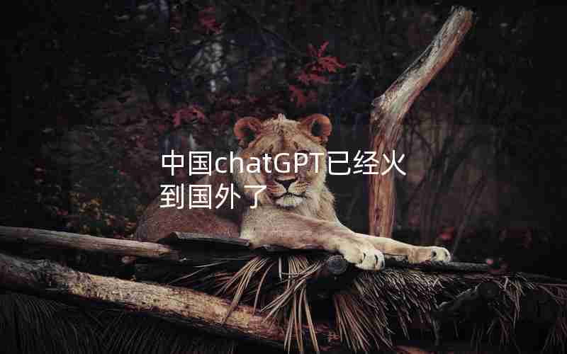 中国chatGPT已经火到国外了