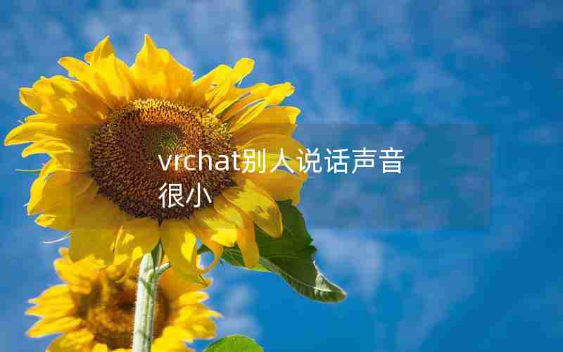 vrchat别人说话声音很小