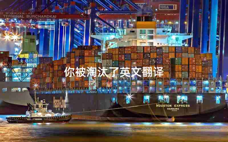 你被淘汰了英文翻译