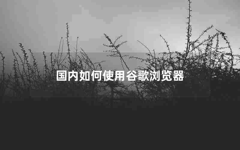国内如何使用谷歌浏览器 国内如何使用谷歌浏览器