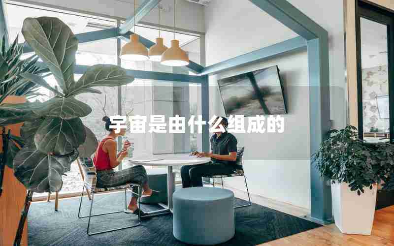 宇宙是由什么组成的