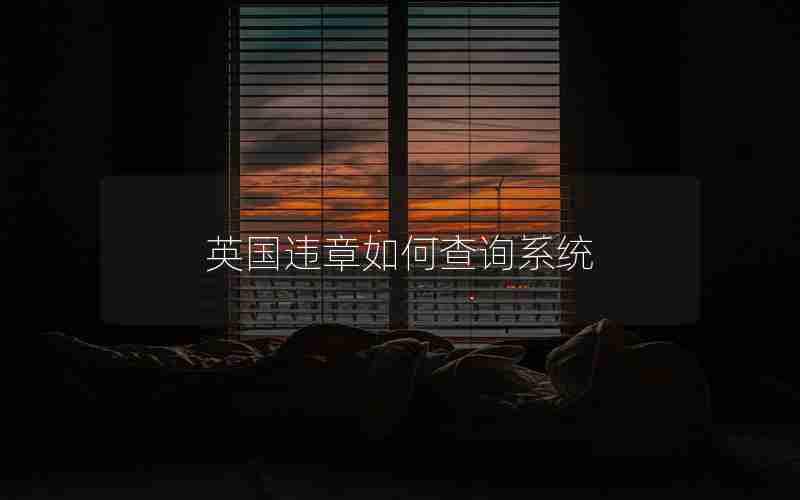 英国违章如何查询系统