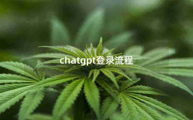 chatgpt登录流程