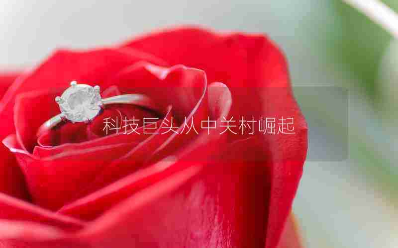 科技巨头从中关村崛起