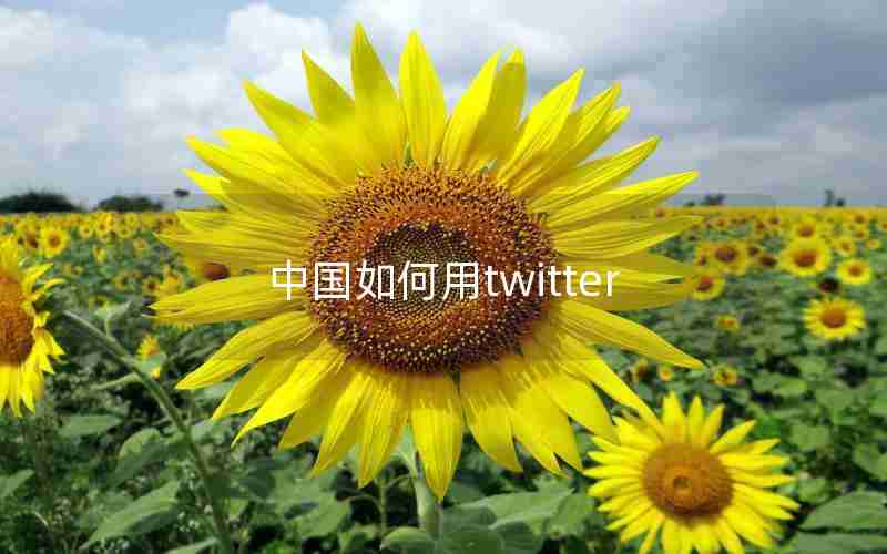 中国如何用twitter 中国如何用twitter