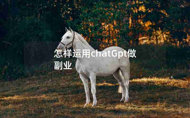 怎样运用chatGpt做副业 怎样运用chatGpt做副业