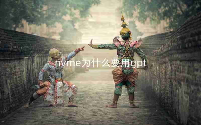 nvme为什么要用gpt nvme为什么要用gpt