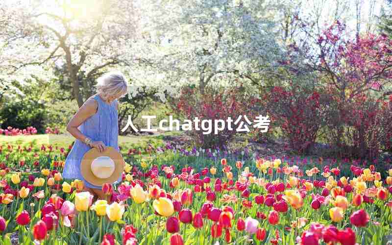 人工chatgpt公考 人工chatgpt公考