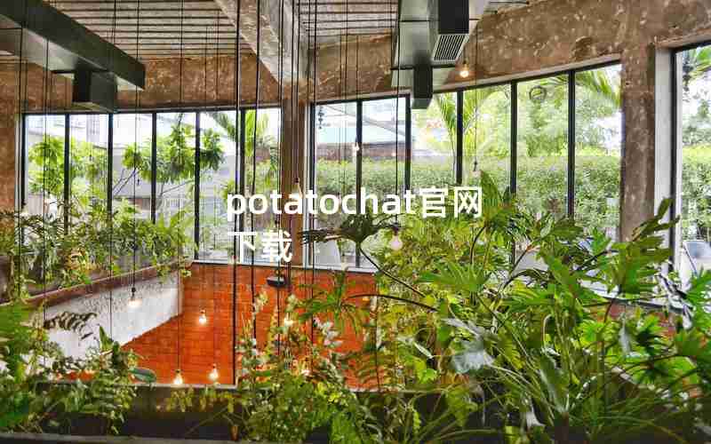 potatochat官网下载