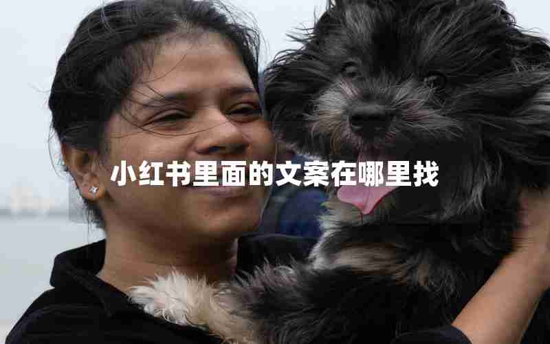 小红书里面的文案在哪里找
