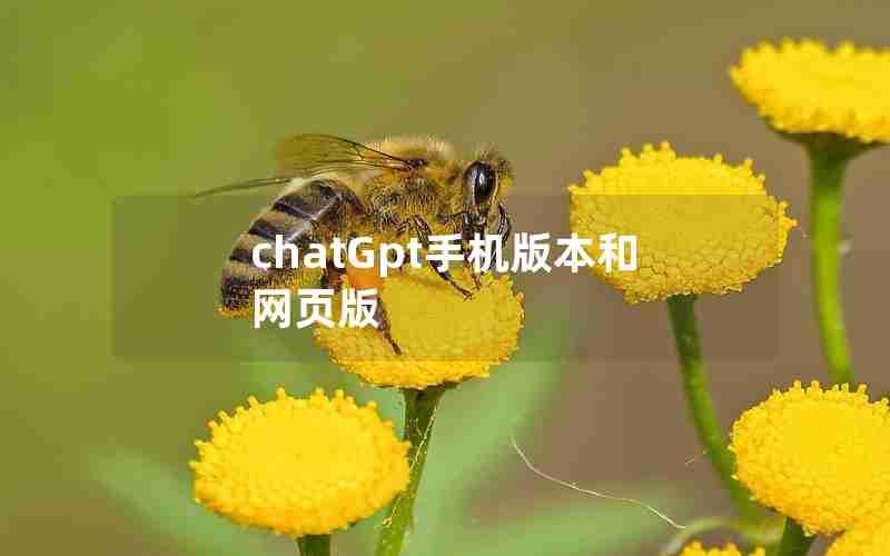 chatGpt手机版本和网页版 chatGpt手机版本和网页版