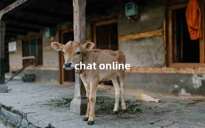 chat online chat online