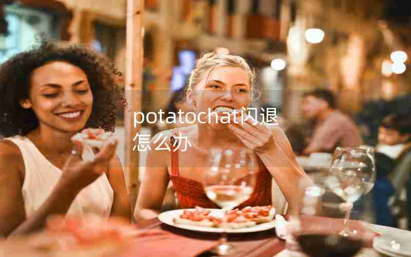potatochat闪退怎么办