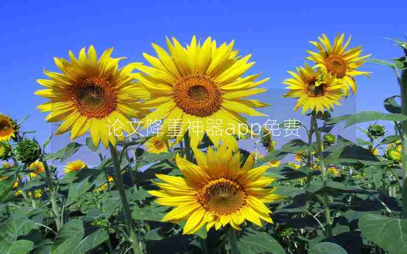 论文降重神器app免费 论文降重神器app免费