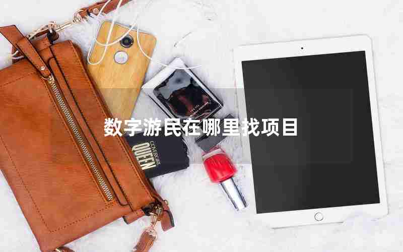 数字游民在哪里找项目