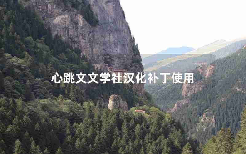 心跳文文学社汉化补丁使用