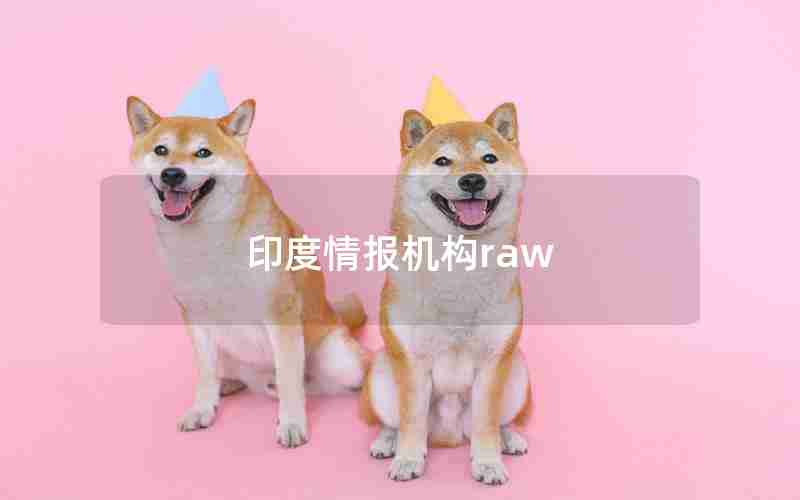 印度情报机构raw