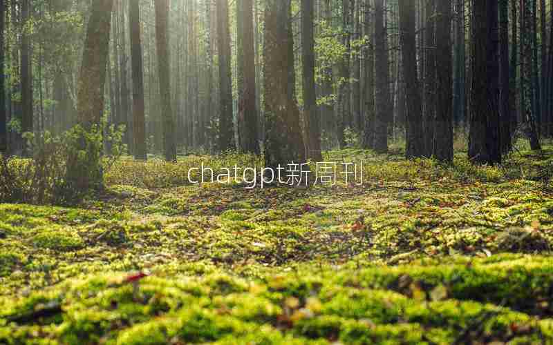 chatgpt新周刊