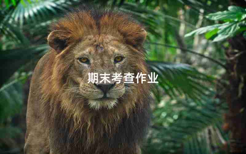 期末考查作业 期末考查作业