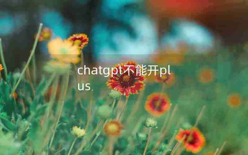 chatgpt不能开plus chatgpt不能开plus