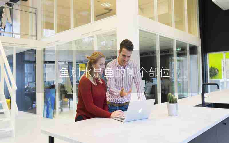 鱼划水是鱼的哪个部位 鱼划水是鱼的哪个部位