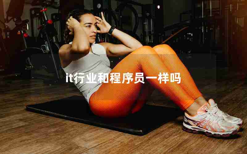 it行业和程序员一样吗