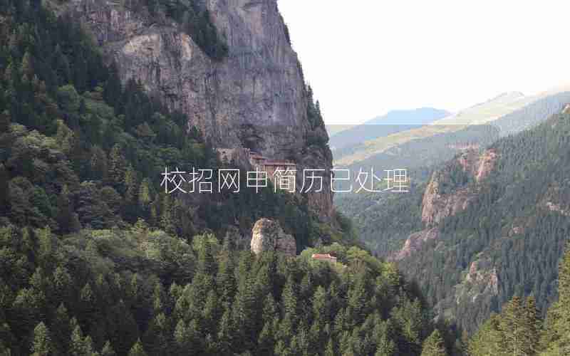 校招网申简历已处理