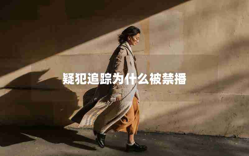 疑犯追踪为什么被禁播