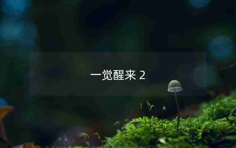 一觉醒来 2 一觉醒来 2