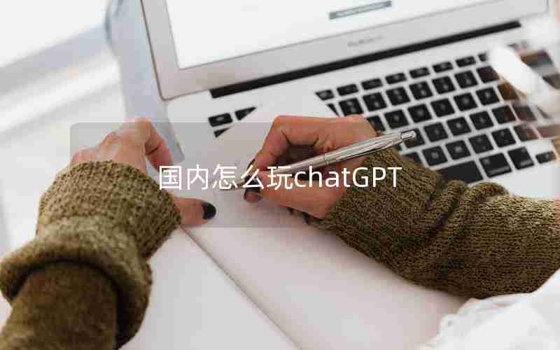 国内怎么玩chatGPT