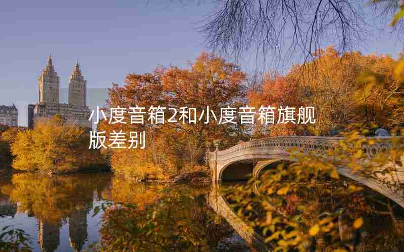 小度音箱2和小度音箱旗舰版差别