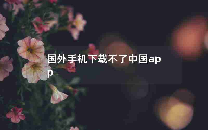 国外手机下载不了中国app