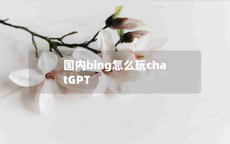 国内bing怎么玩chatGPT