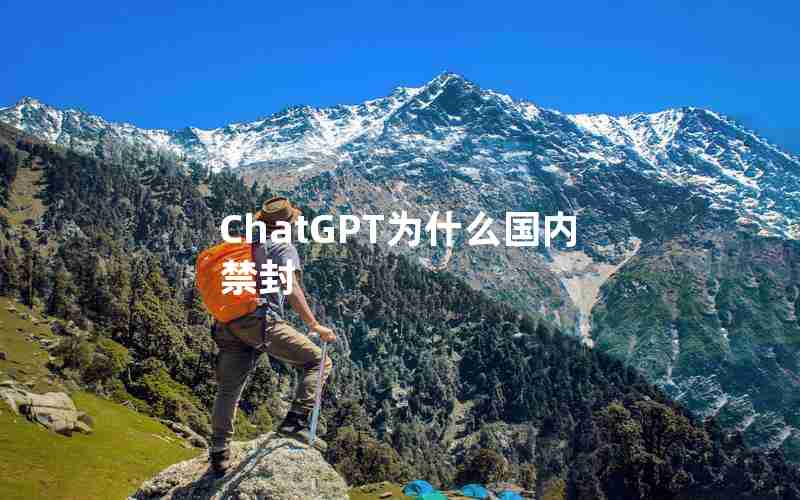 ChatGPT为什么国内禁封