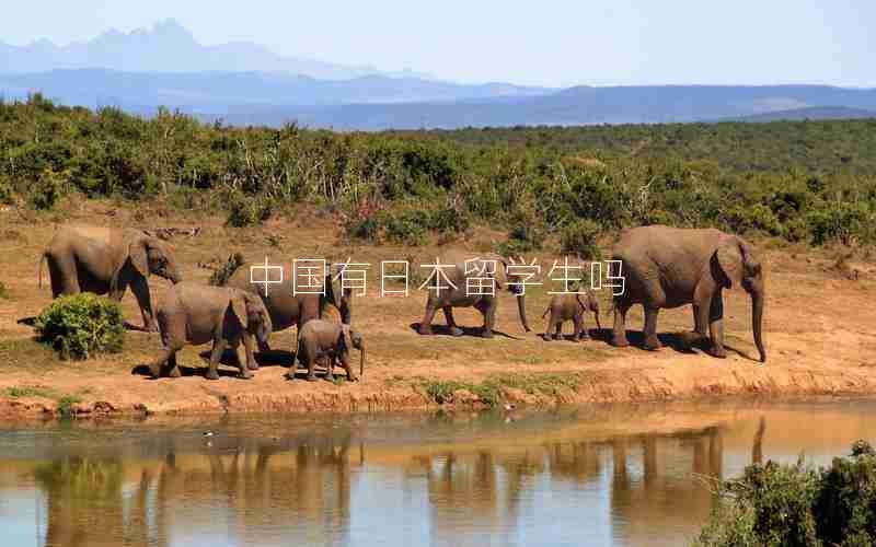 中国有日本留学生吗 中国有日本留学生吗