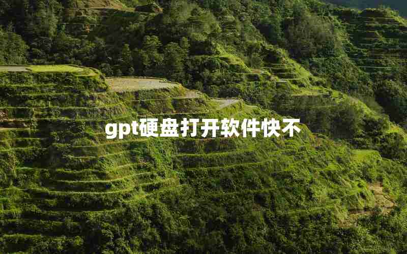 gpt硬盘打开软件快不