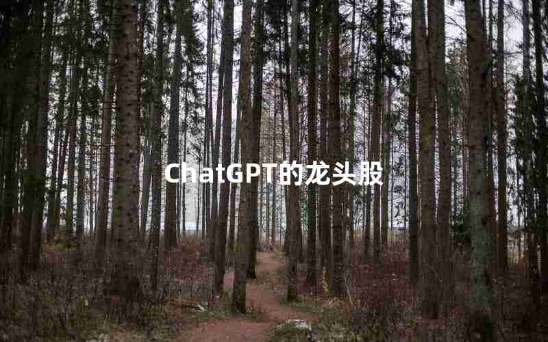 ChatGPT的龙头股 ChatGPT的龙头股