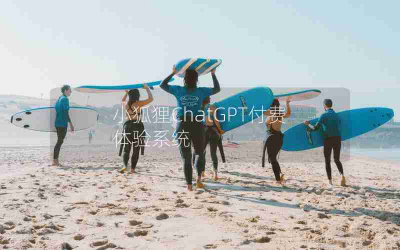 小狐狸ChatGPT付费体验系统
