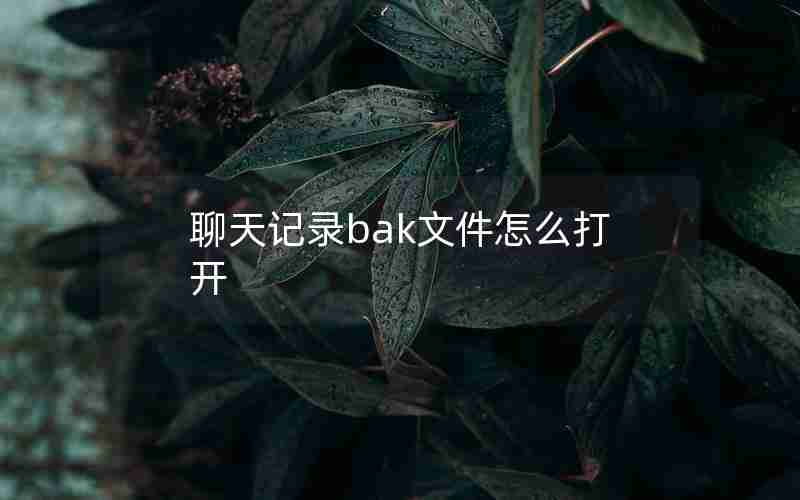 聊天记录bak文件怎么打开