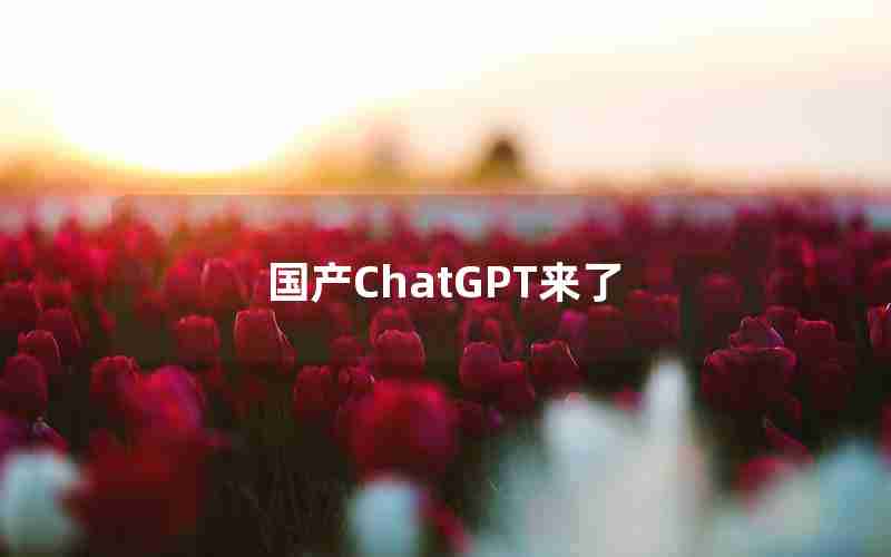 国产ChatGPT来了